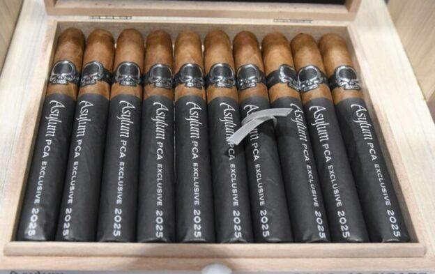 ASYLUM PCA EXCLUSIVE 2025 TORO