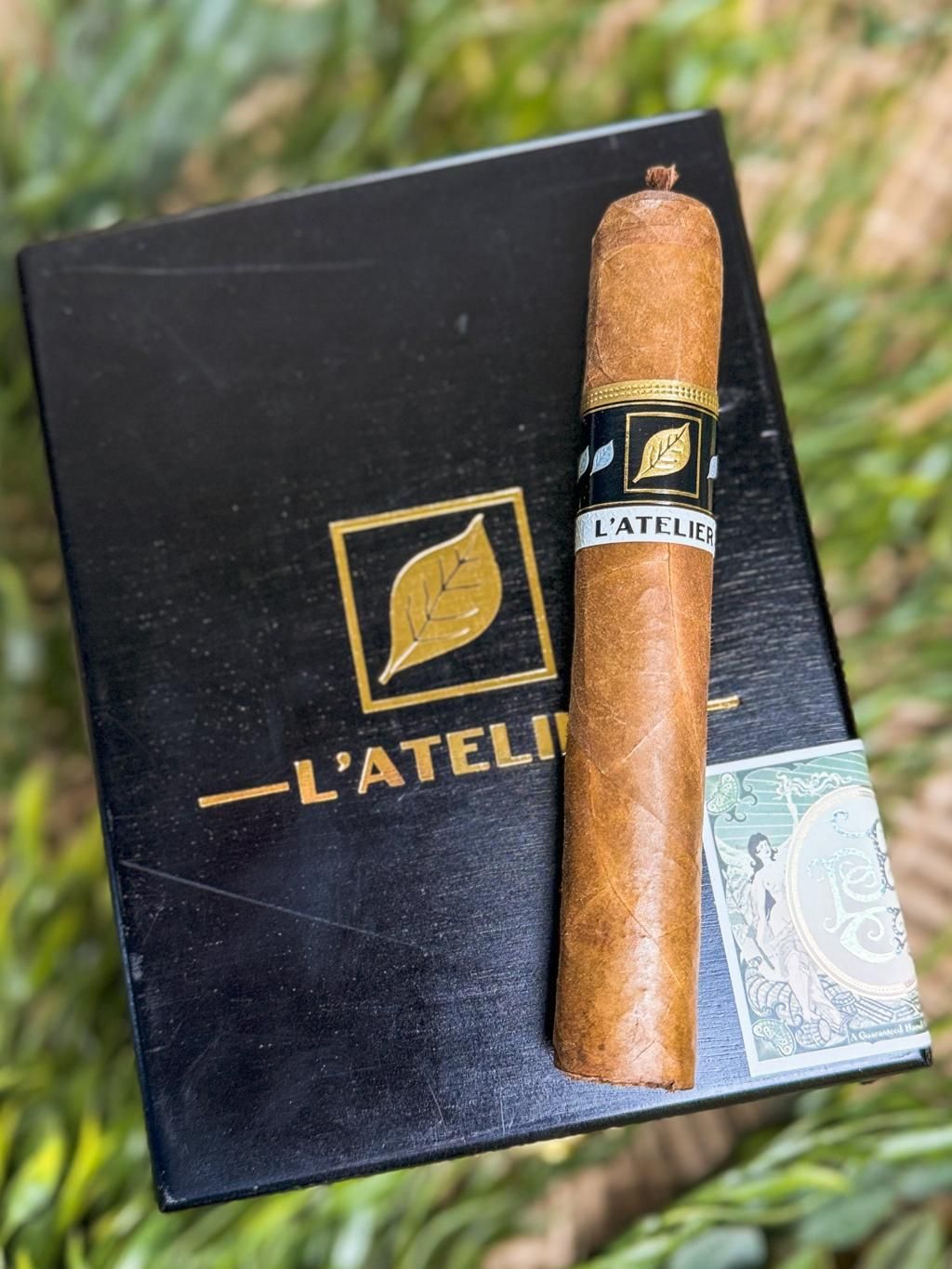 LATLIER 5X54