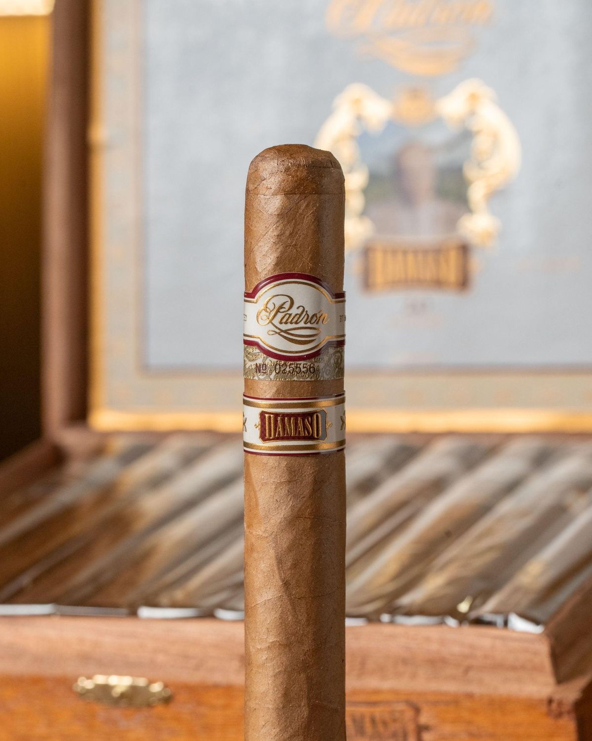 PADRON DAMASO 15