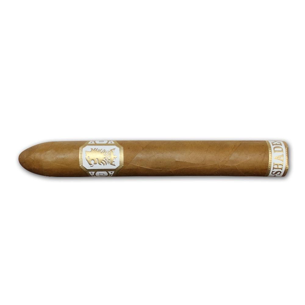 UNDERCROWN CONNECTICUT BELICOSO