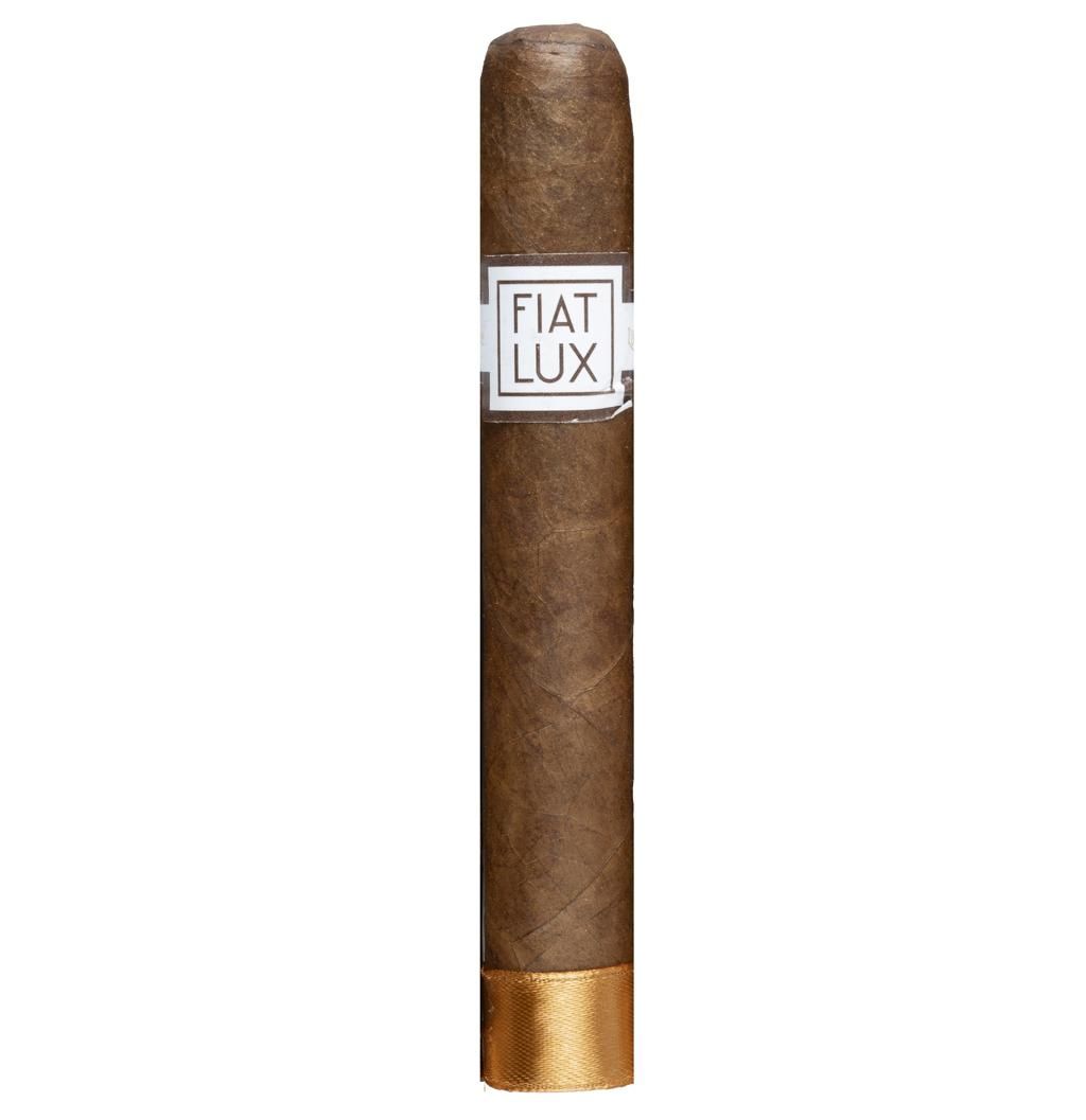 FIAT LUX INSIGHT