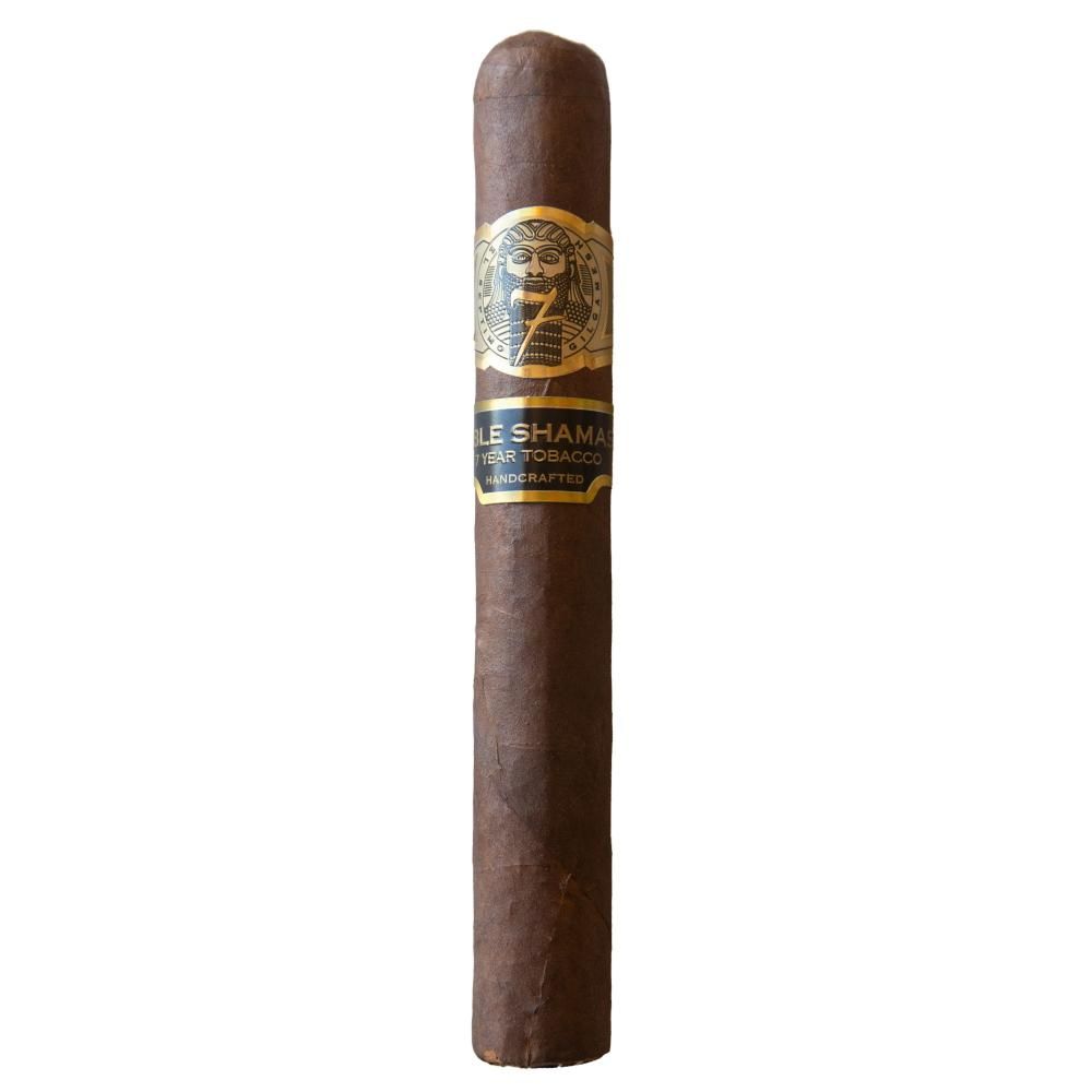 SABLE SHAMASH TORO