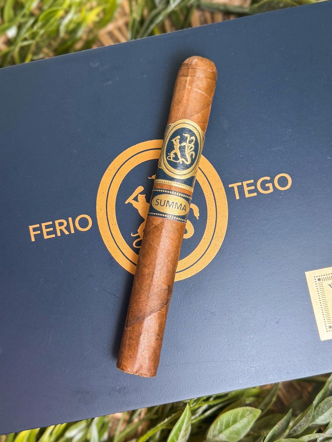 FERIO TEGO SUMMATRA GORDO