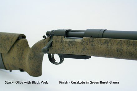 Pilot Mountain Arms Tactical Rifle