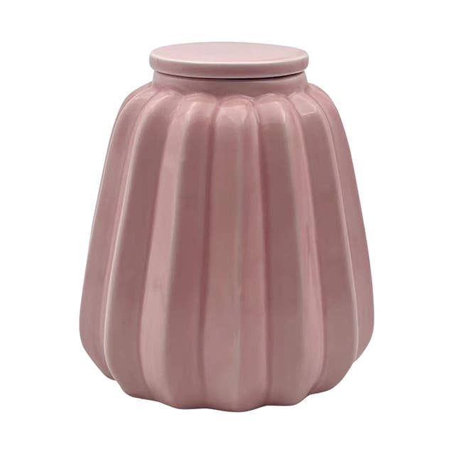 Roze Potvaas