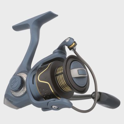 Pfleuger President Spinning Reel