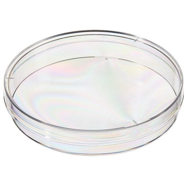 Agar Tray (5 Trays Minimum)