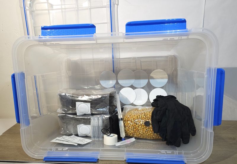 All In One Do It Yourself Kits