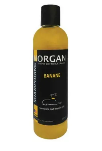 Shampoing Morgan Banane 250 ML Shampoing Morgan Banane 250 ML