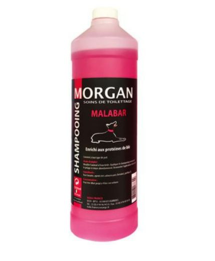 Shampoing Morgan Protéiné senteur Malabar 1L