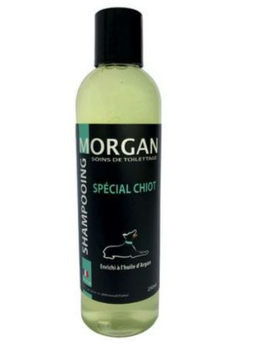 Shampoing Morgan Spécial Chiot 250 ML Shampoing Morgan Spécial Chiot 250 ML