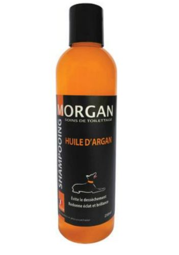 Shampoing Morgan Huile d'Argan 250 ML