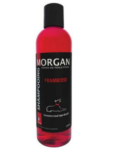 Shampoing Morgan Framboise 250 ML Shampoing Morgan Framboise 250 ML