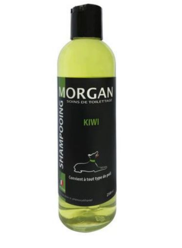 Shampoing Morgan Kiwi 250 ML Shampoing Morgan Kiwi 250 ML