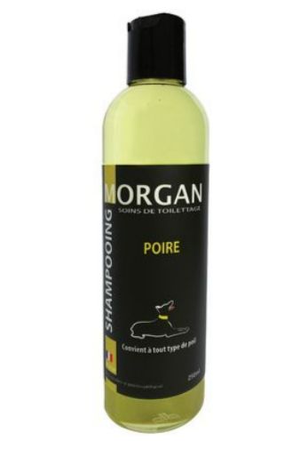 Shampoing Morgan Poire 250 ML