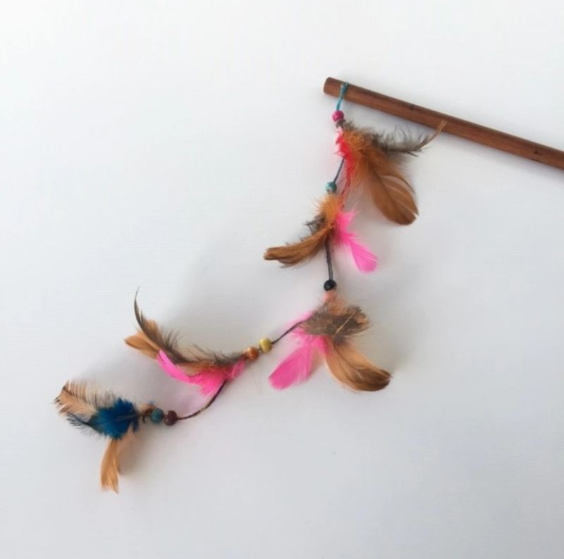 Canne plumes roses jouet pour chat