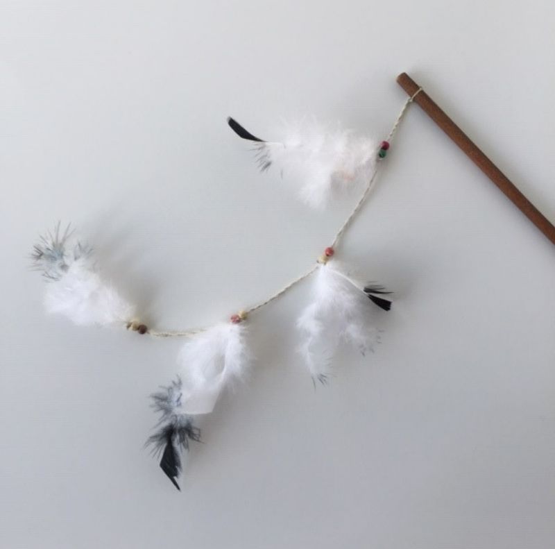 Canne plumes blanches jouet pour chat