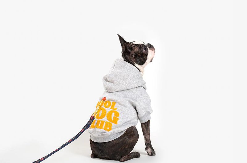 Sweat à capuche pour chien Gris Chiné