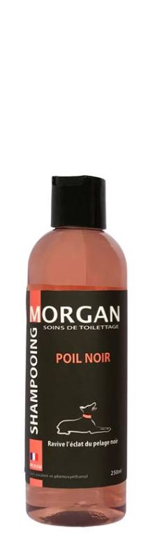 Shampoing Morgan Poil Noir 250 ML