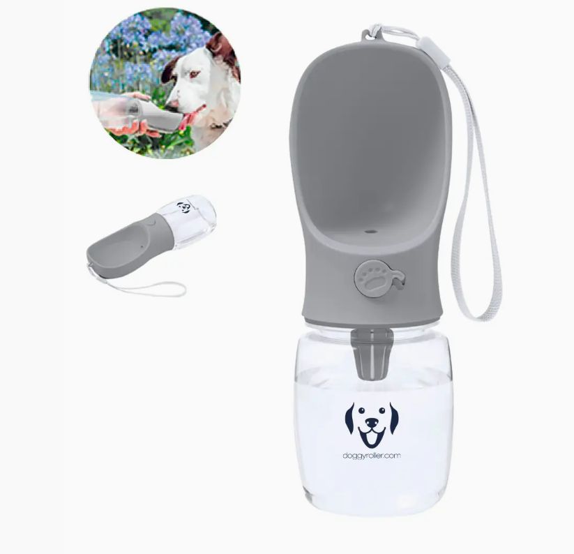 Bouteille d'eau portable 350 ml