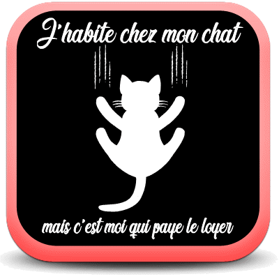 J Habite Chez Mon Chat Mais C Est Moi Qui Paye Le Loyer