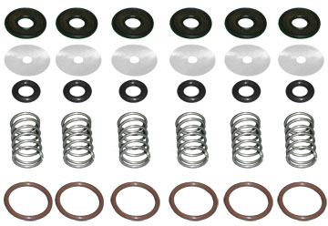 299-05-01 Valve Seal Repair Kit (6 Pack)