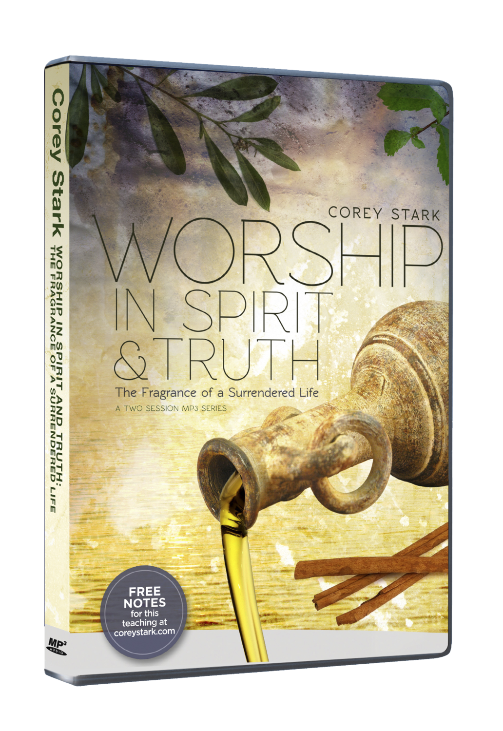 Worship in Spirit and Truth - Two Session MP3-CD Teaching Series