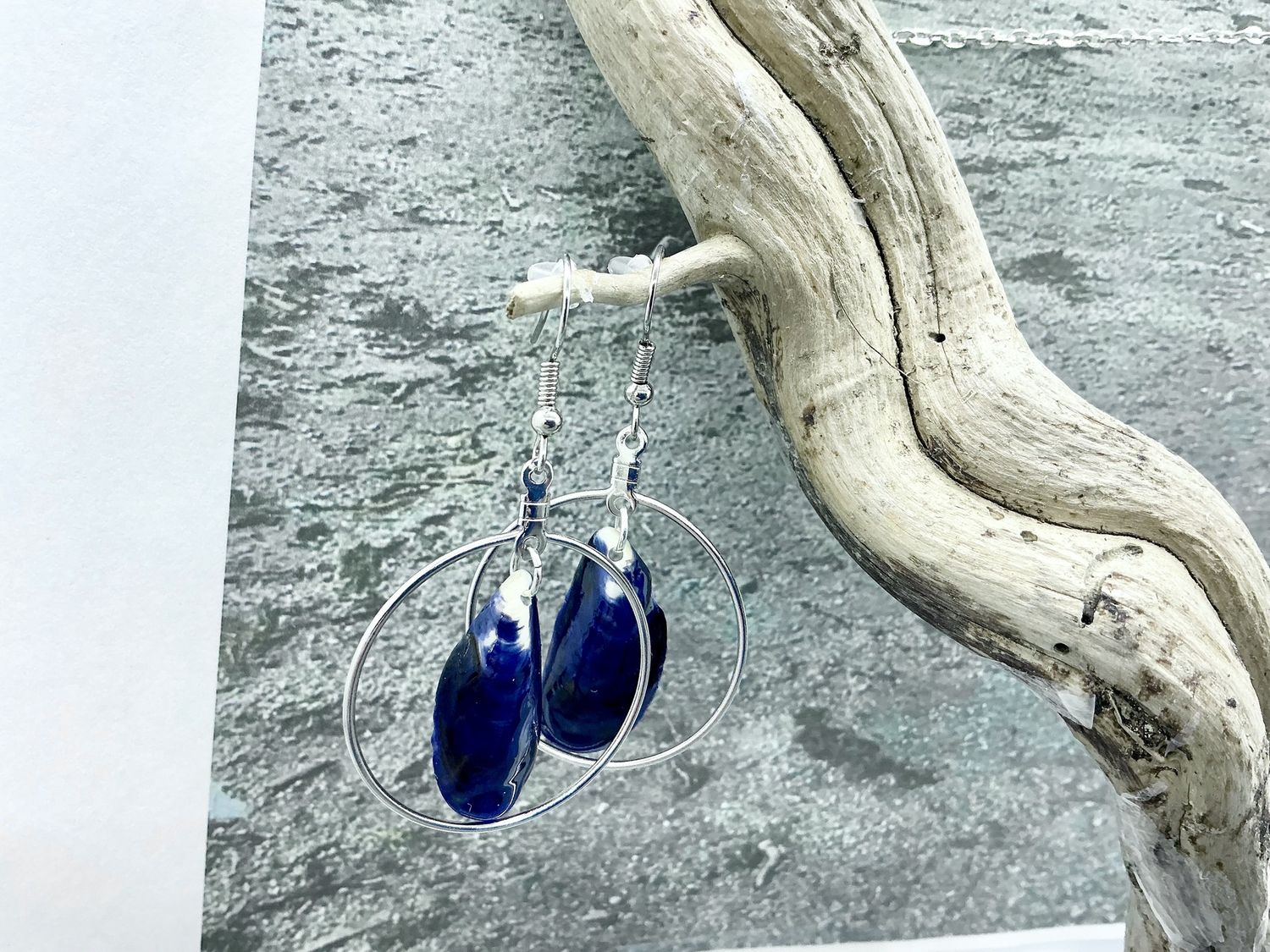 Blue shell silver oval 03, Colour: Medium