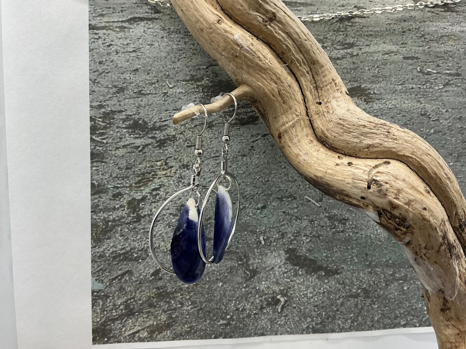 Blue shell Silver Oval/04