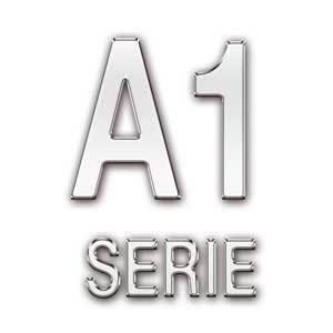 A1