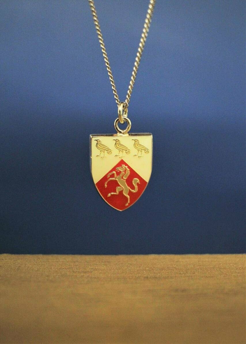 University of Kent Sterling Silver & Enamel Pendant and Chain