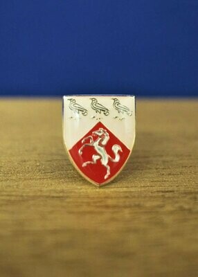 University of Kent Lapel Pin Badge, Sterling Silver & Enamel