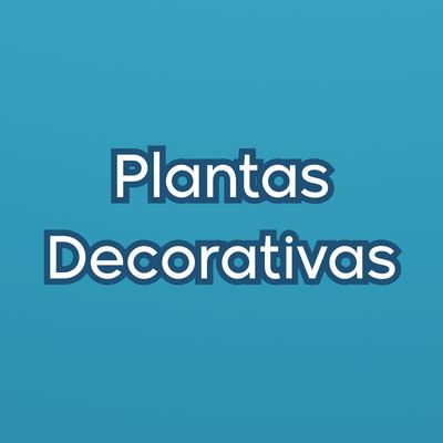 Plantas decorativas