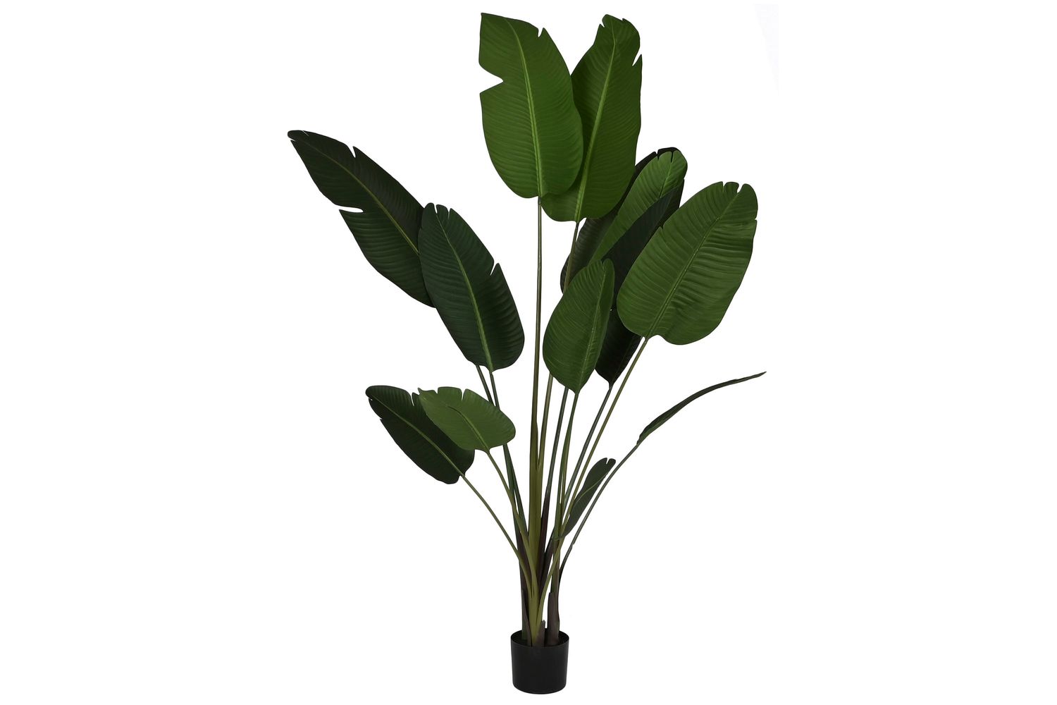 PLANTA PE CEMENTO 80X80X205 VERDE