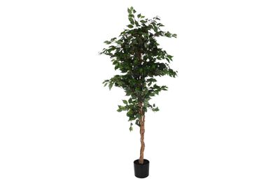 ARBOL POLIESTER PP 90X90X180 HIGUERA DE BENGALA
