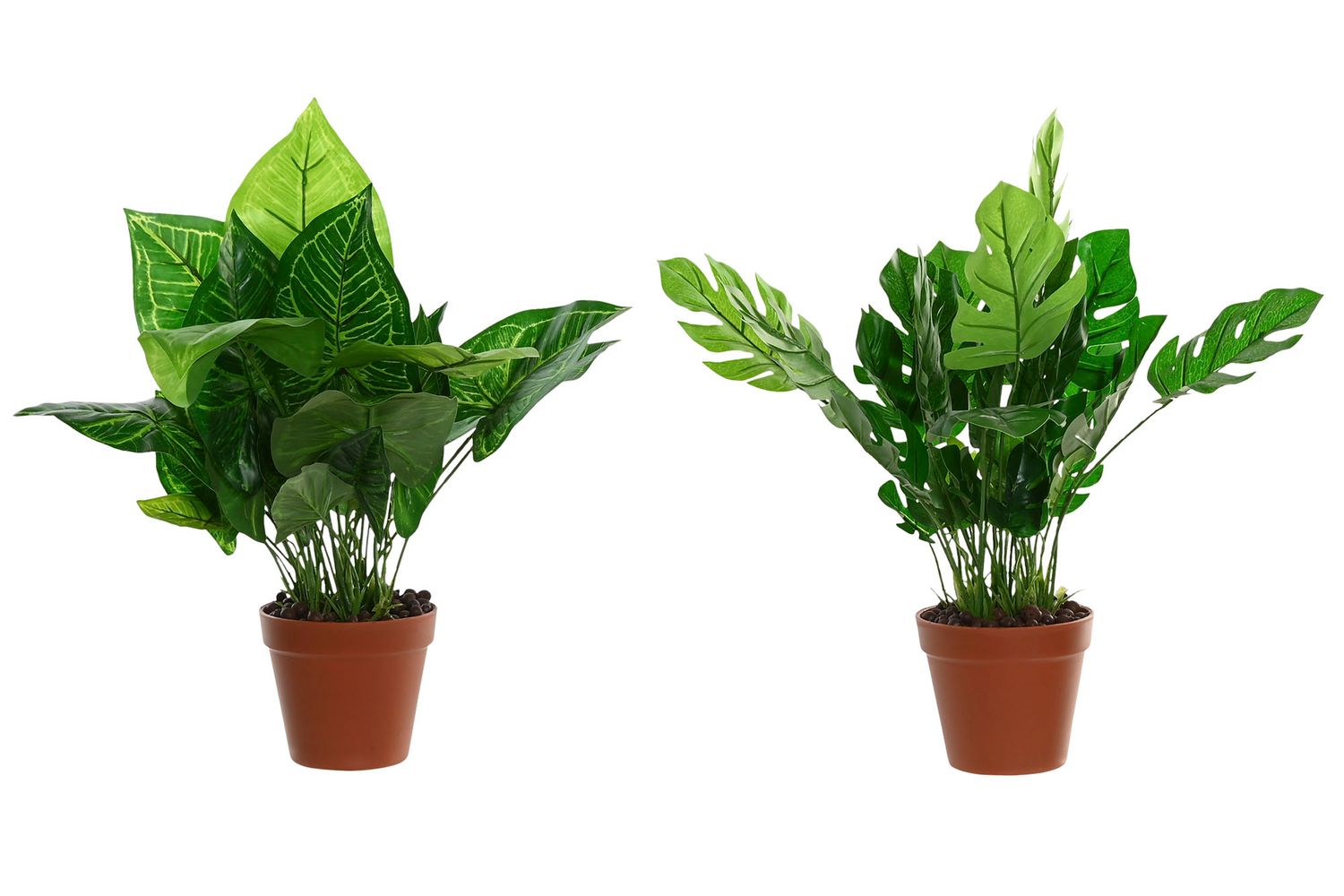 PLANTA PE 20X20X45 2 SURT.