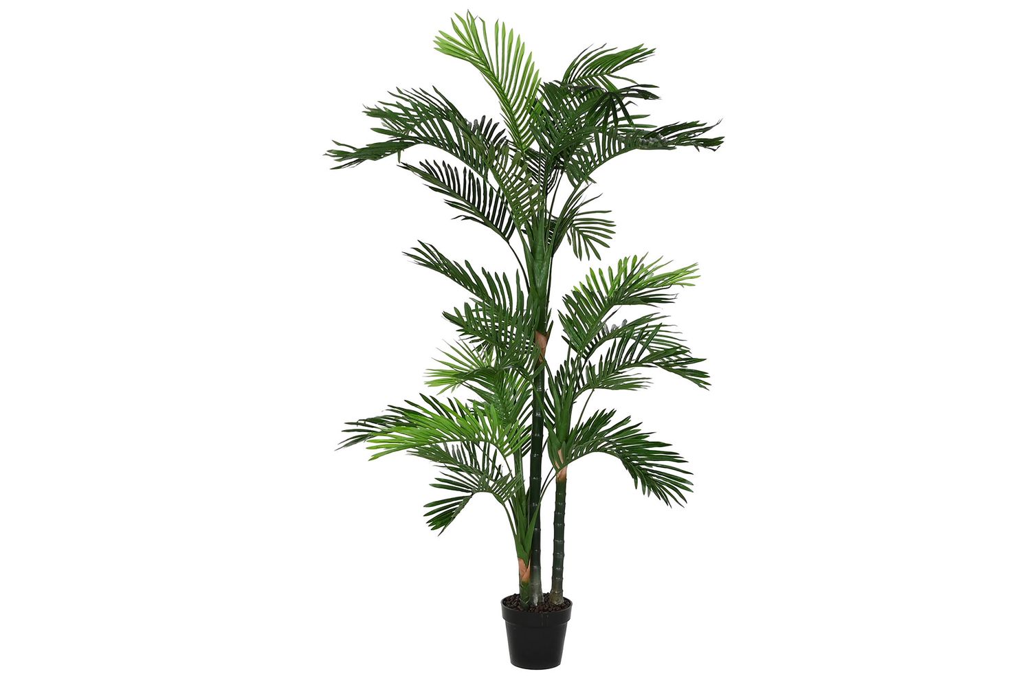PLANTA PE 50X50X180 PALMERA VERDE