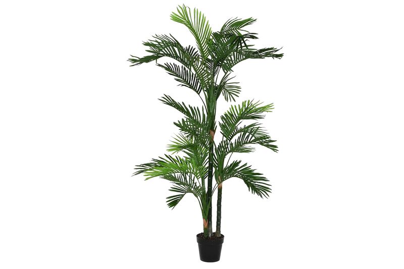 PLANTA PE 50X50X180 PALMERA VERDE