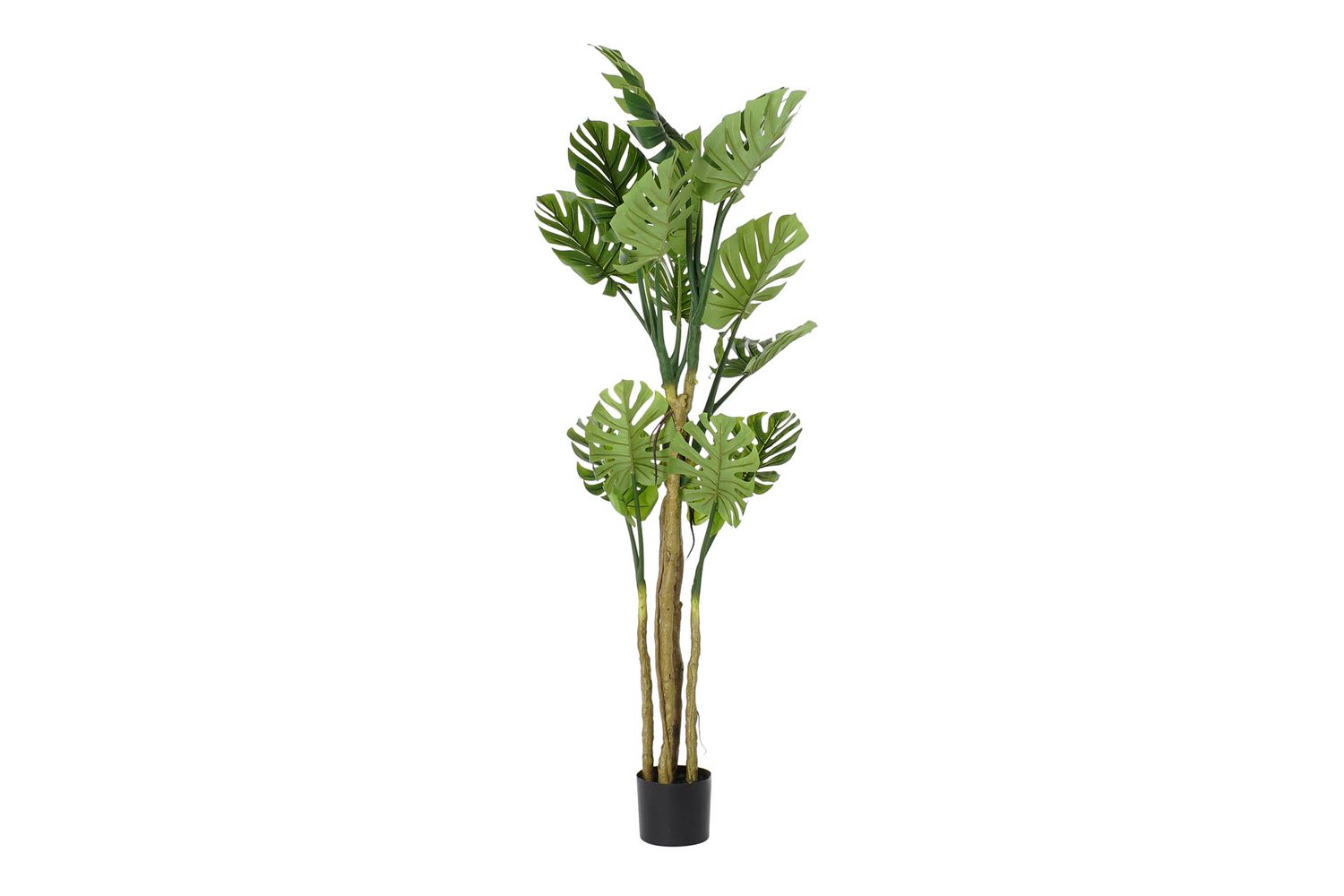 ARBOL POLIESTER PP 75X75X180 MONSTERA VERDE ARBOL POLIESTER PP 75X75X180 MONSTERA VERDE