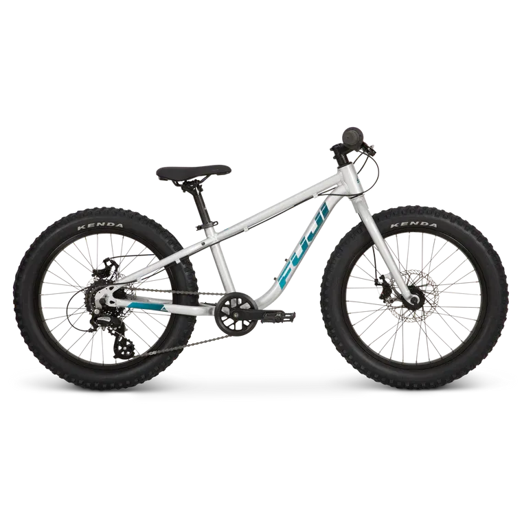 Fuji Dynamite 20+ Silver