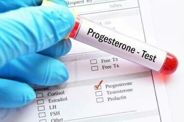 Canine Progesterone Test