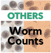 Other Species Worm Count (Horse/Alpaca/Goat/Cow/Sheep/Exotics)