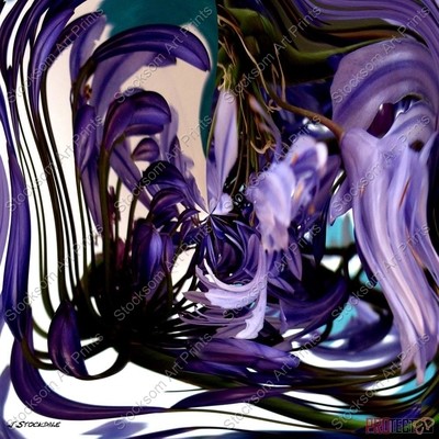 Agapathus Swirl