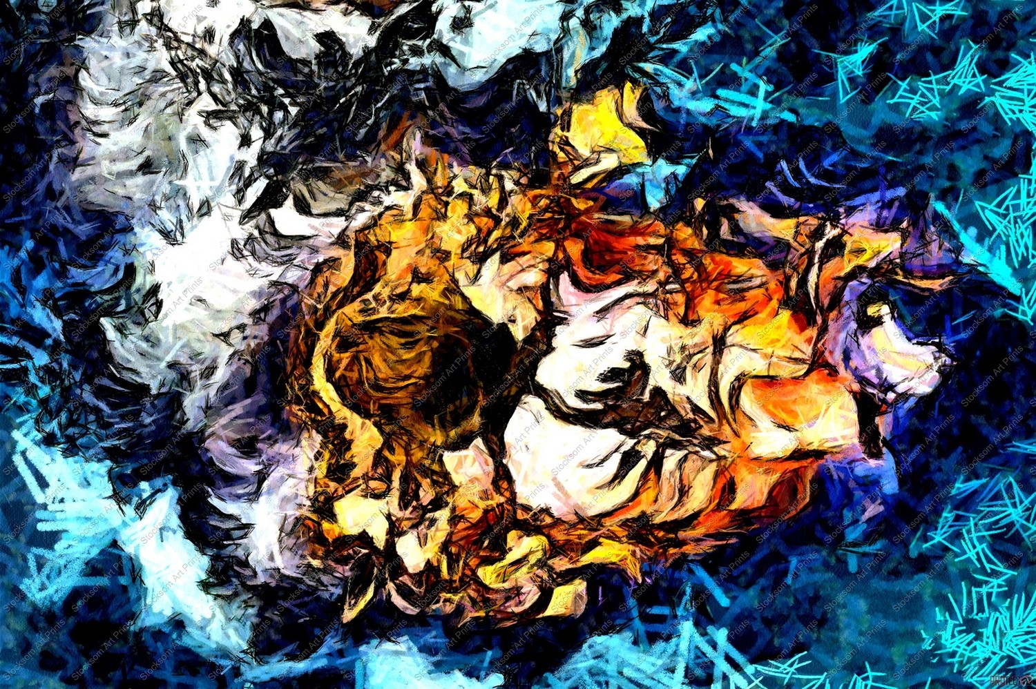 Aqua Riches 1