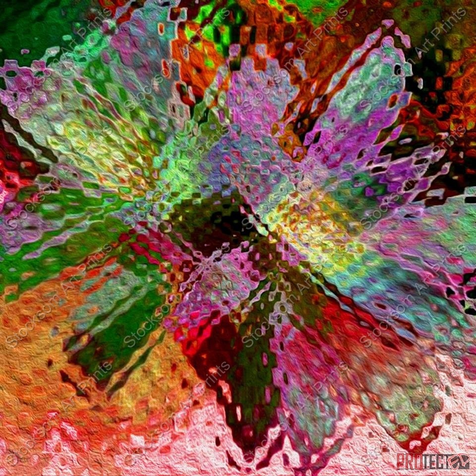 CACTI 3