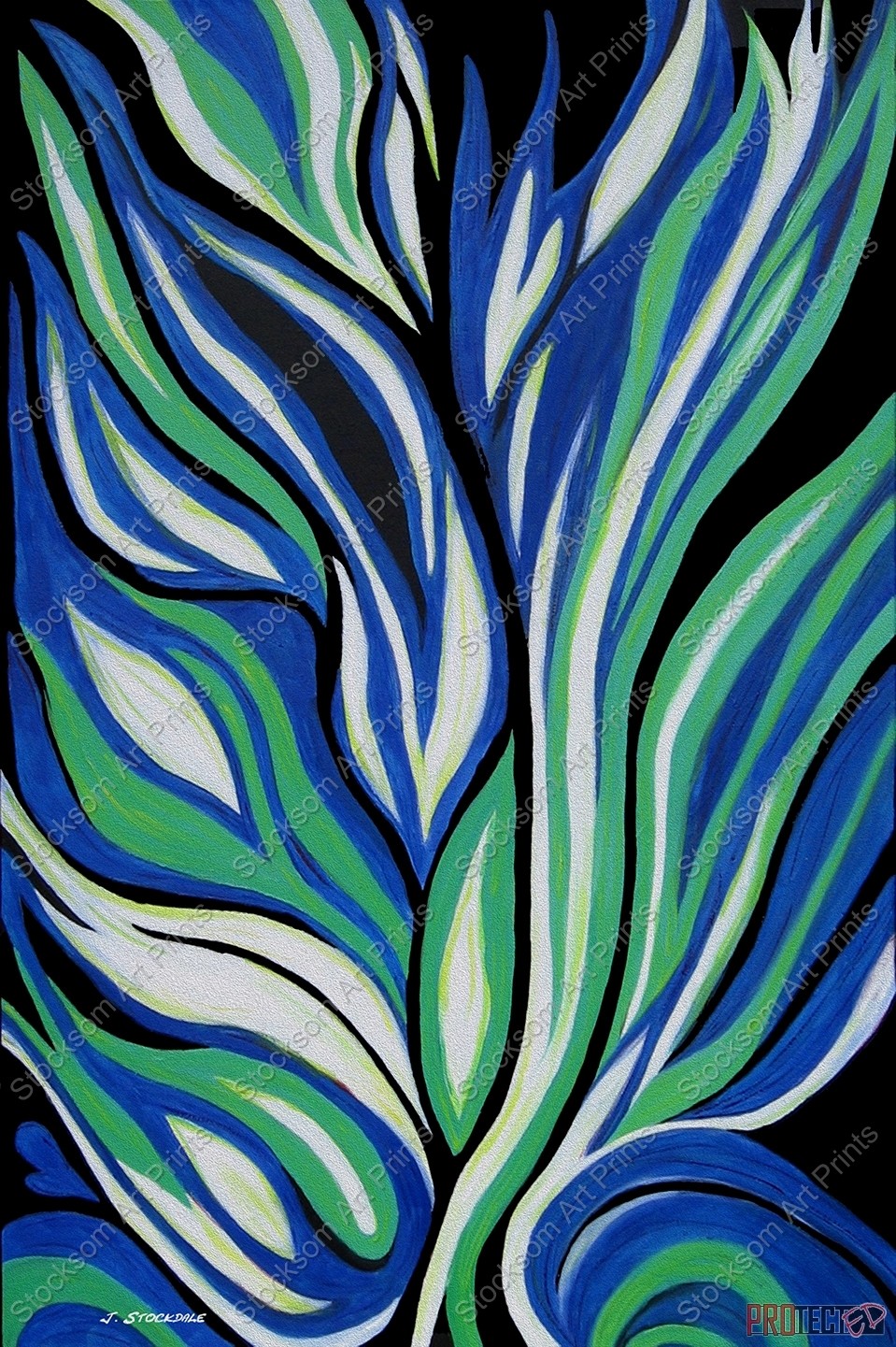 Aspidistra 3