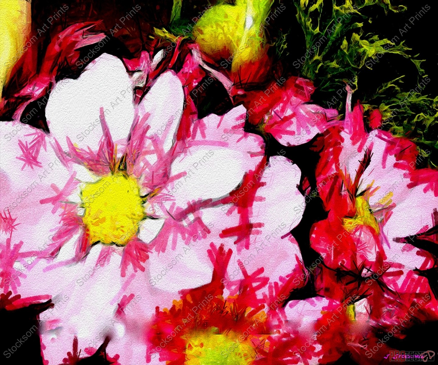 Daisy 3