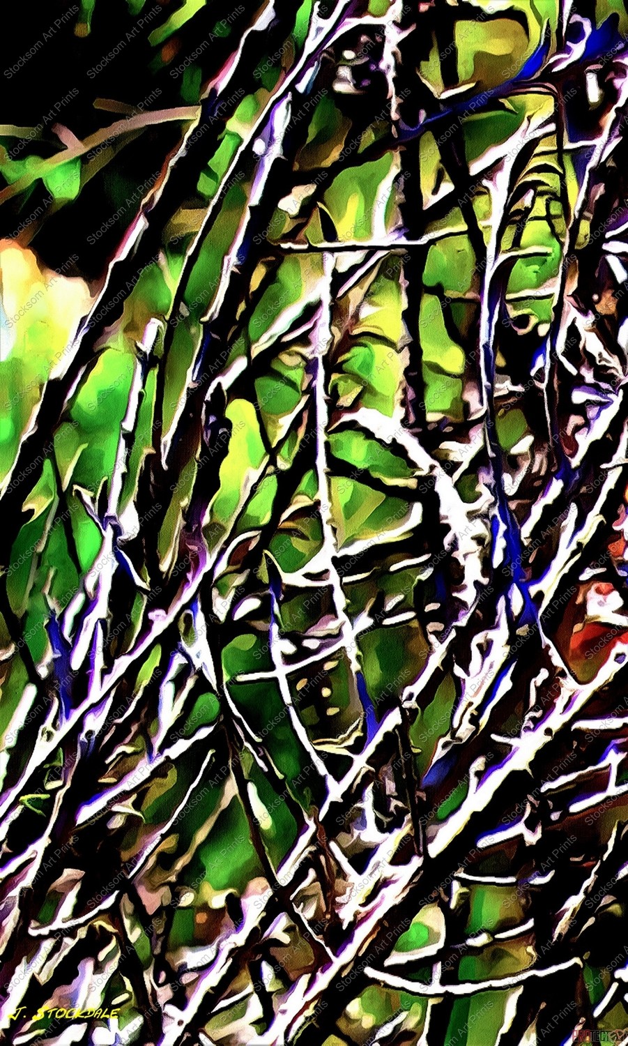 Waiting For Spring 1