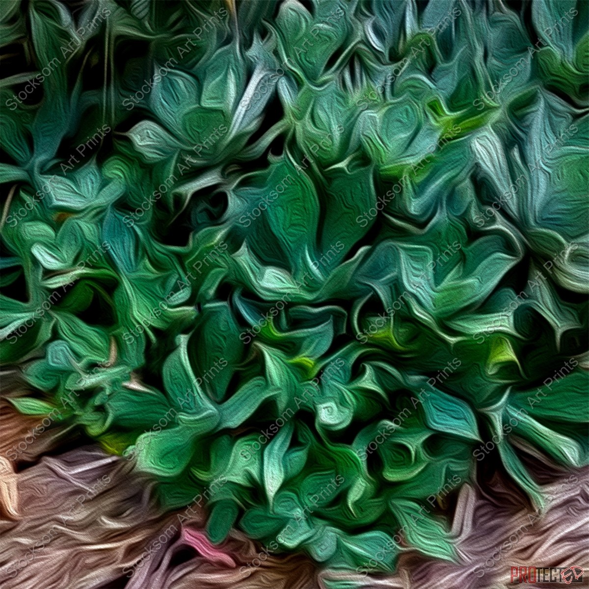 Textured Succulent 4