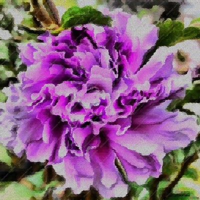 Textured Hibiscus